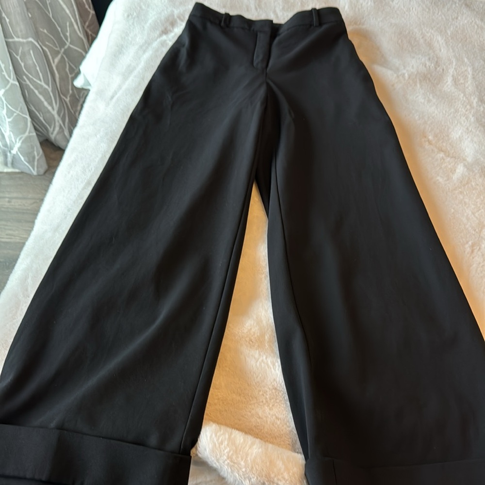 Aritzia pants